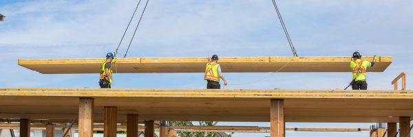 Three construction workers assembling a building with mass timber